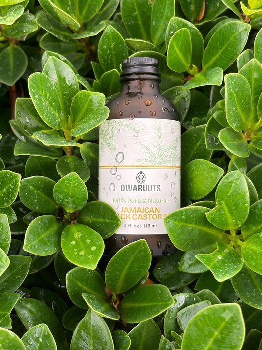 Owaruuts  100% Pure & Natural Artisanal Jamaican Black Castor Oil (4 fl. oz/ 118 ml)